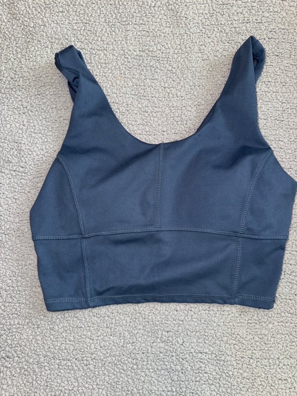 Danskin Blue Sports Bra Crop Tank